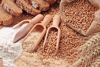 Picture of different kinds of grains