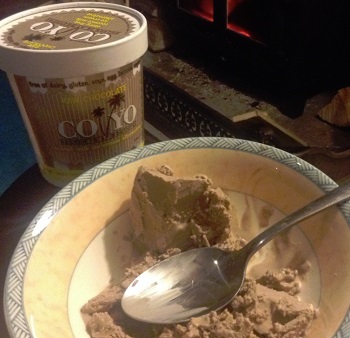 Coyo Raw chocolate ice cream