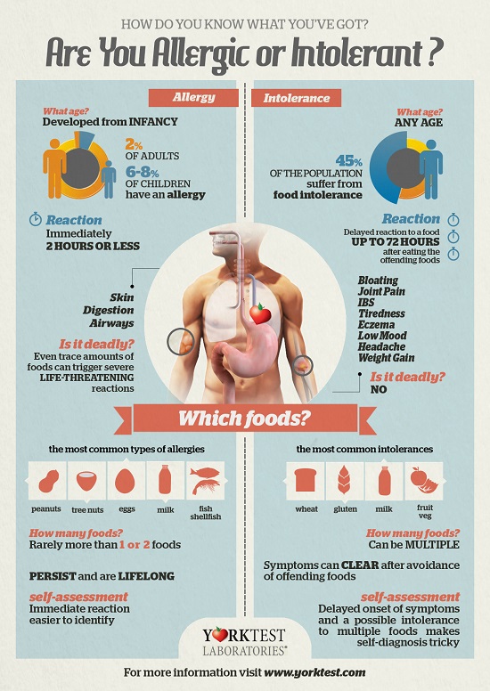 York Test - Food Intolerance vs Allergy Infographic