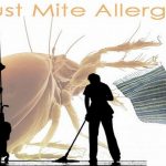 Dust mite allergens in the bedroom