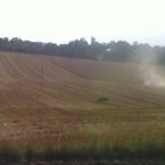 Living opposite a wheat field during harvest time - wheat allergy
