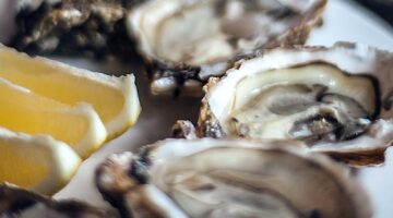 do oyster shells contain protein
