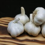 garlic for immune system